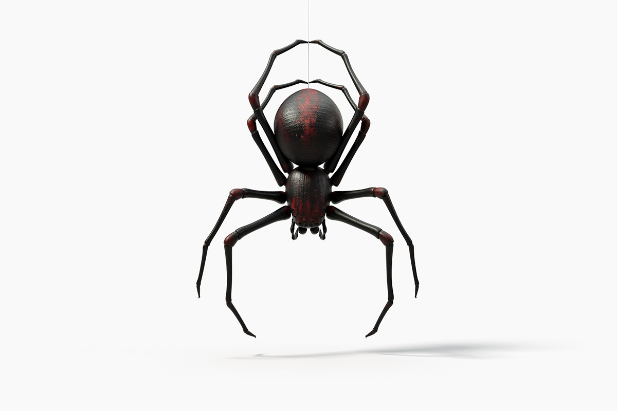 Viuda Negra